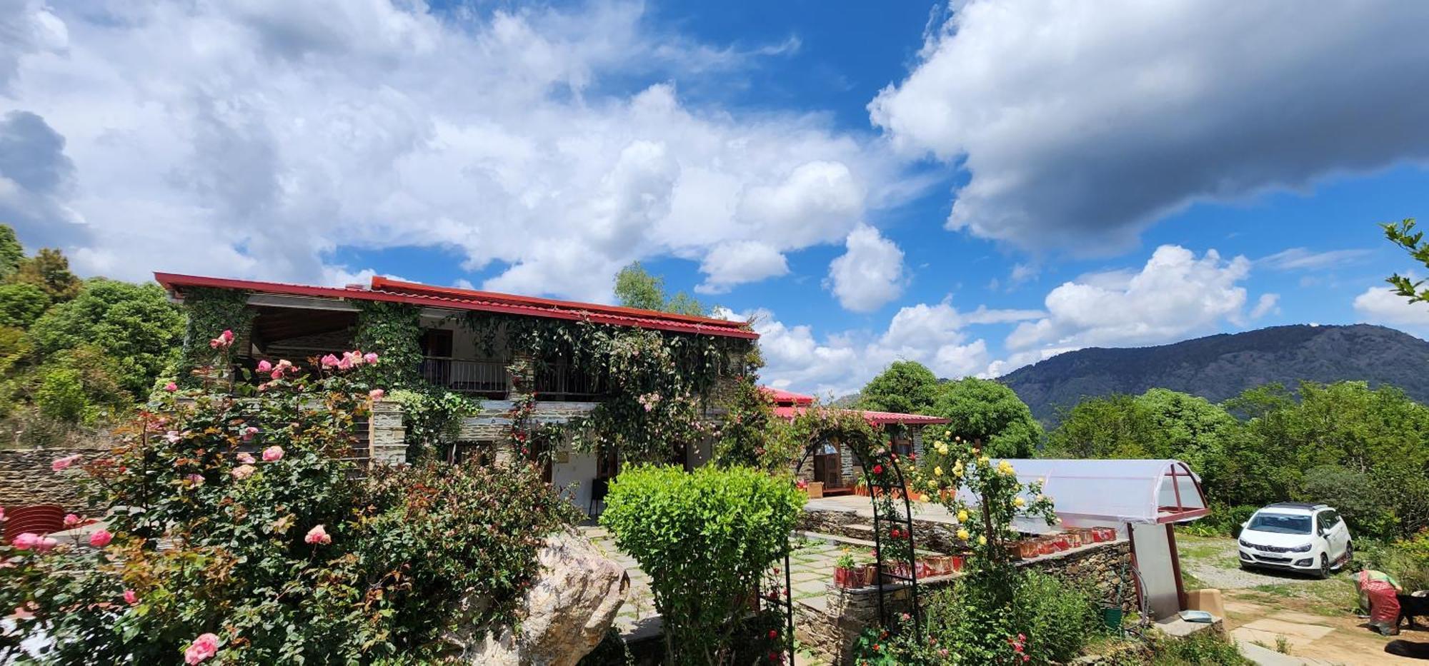 Dunagiri Retreat Dwarahat Kültér fotó