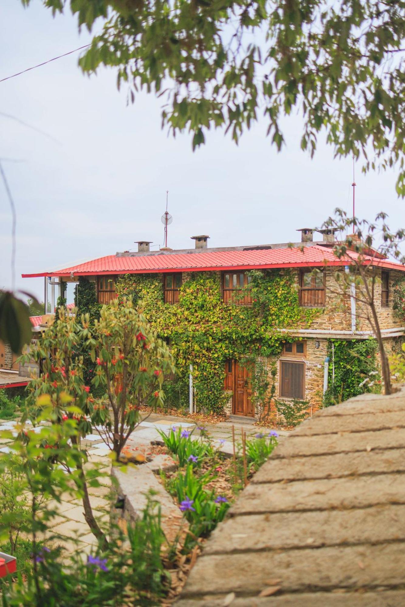 Dunagiri Retreat Dwarahat Kültér fotó
